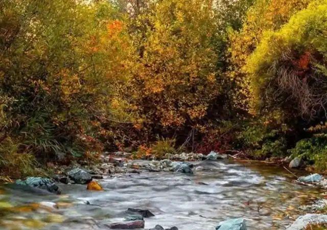 Шахрестанак