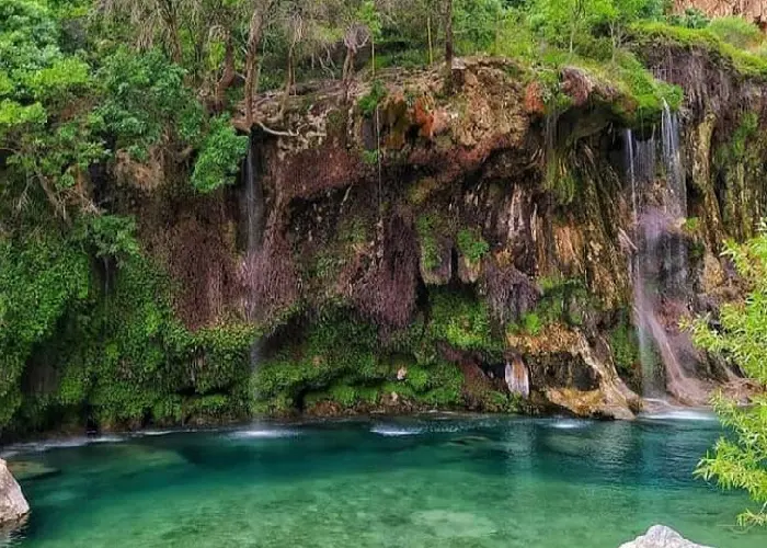 Танг-э Бораг